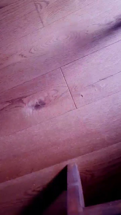 spklz #cool #рек #funny #тренды #minecraft #youtube #googlemaps #3310 #a70 #bruh