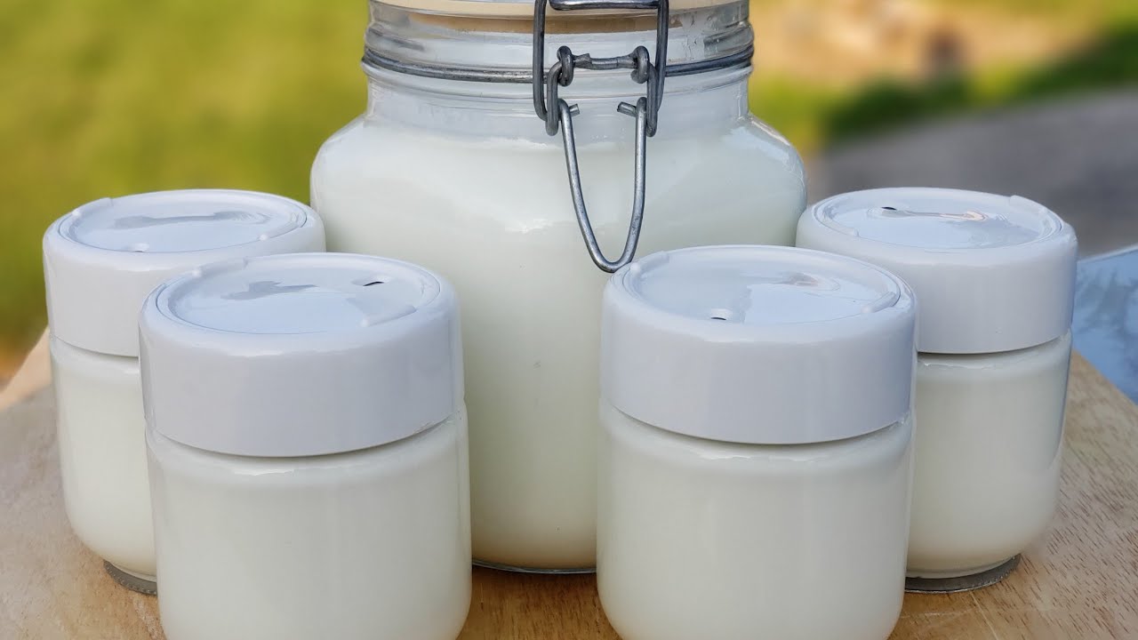 HOW TO MAKE YOGURT AT HOME HOMEMADE YOGURT with VILLI STARTER no