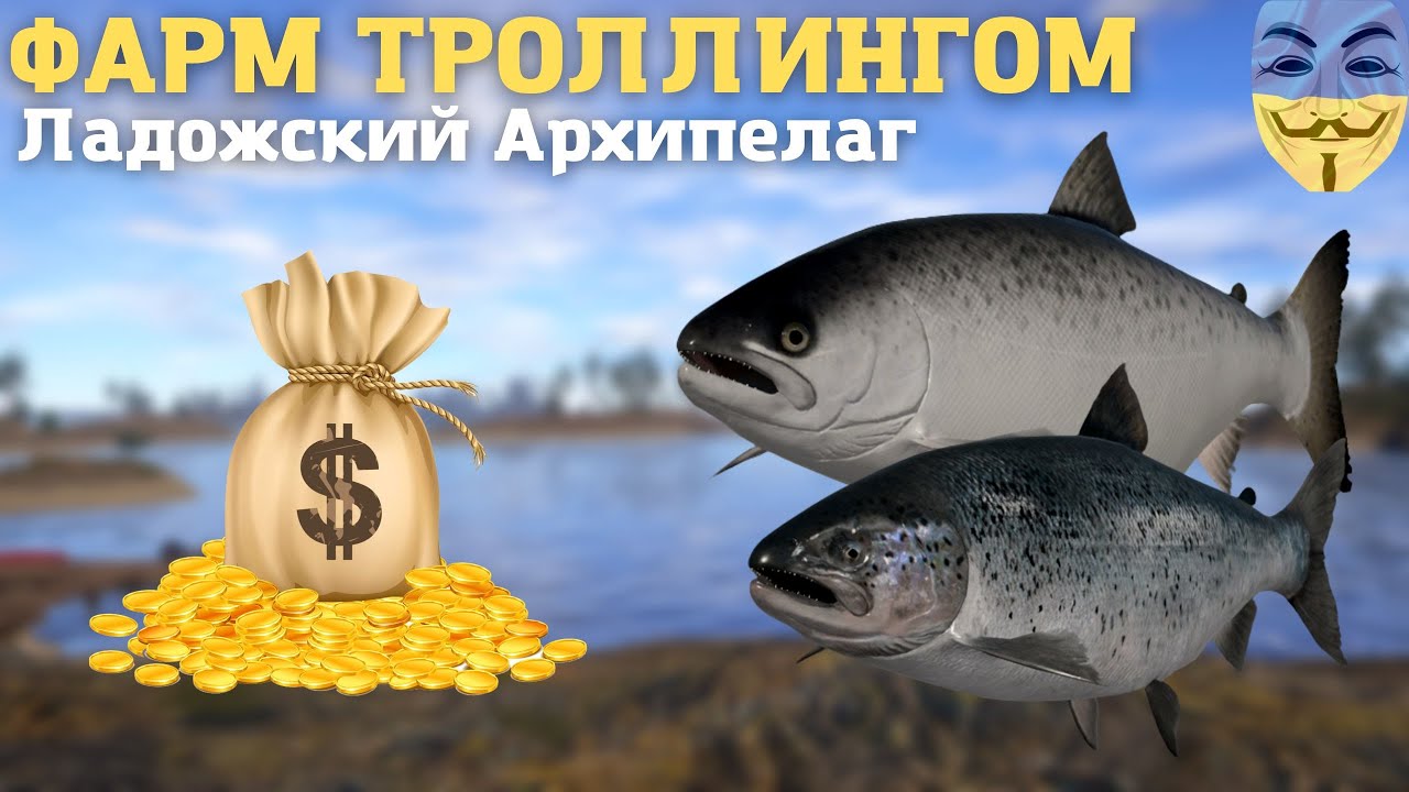 Баллы калина фарм