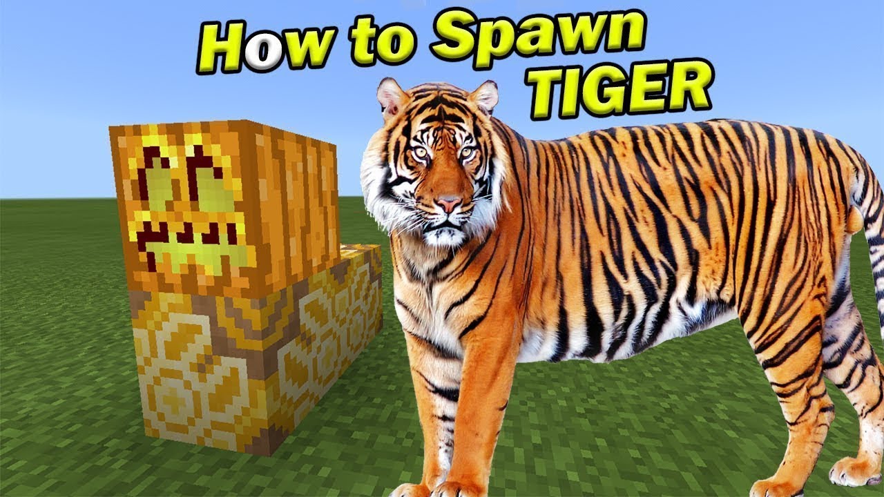 How to Spawn a TIGER | Minecraft PE - YouTube