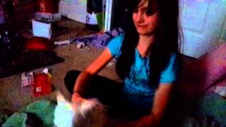 Help The Dogs From Drug Girl