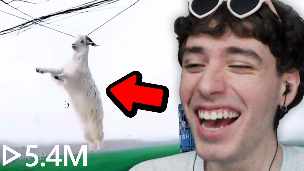 vendo coisas BIZARRAS no TIKTOK CHINÊS