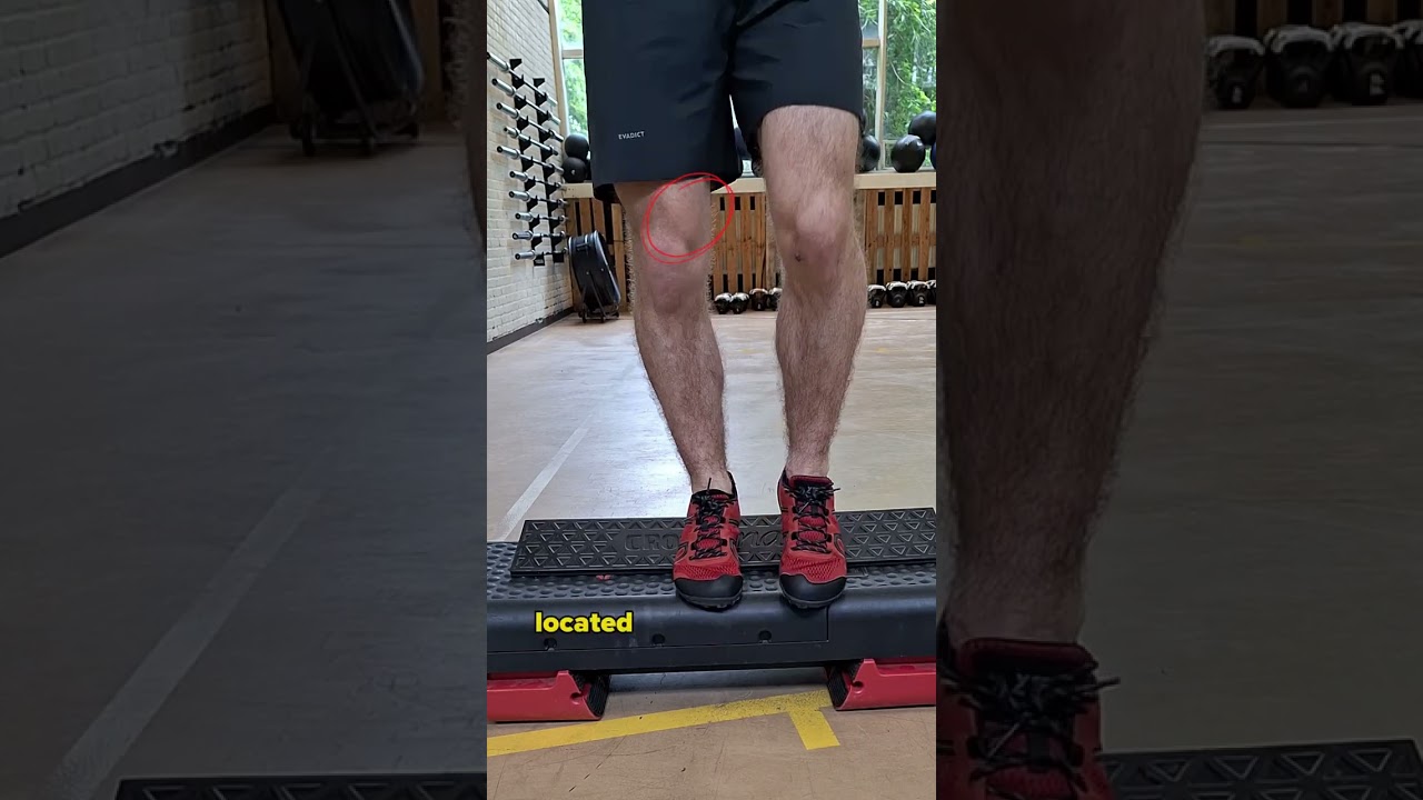 Reverse step up variations for knee health 👊