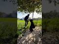 ￼ wait for end mera Instagram 👉kapilop07 #youtubeshorts #shorts #instagram #new #india #instagood