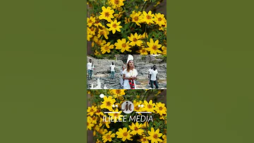 Faarfannaa Ilillee Media Faarfannaa Afaan Oromoo Gospelsongs Bara Haaraa 