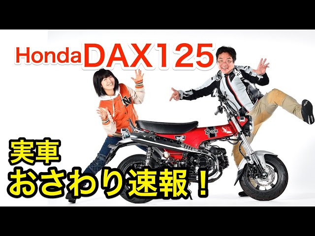 値下げ中！ Dax 純正エンジン Amazon | ジータレーシング(ZETA RACING