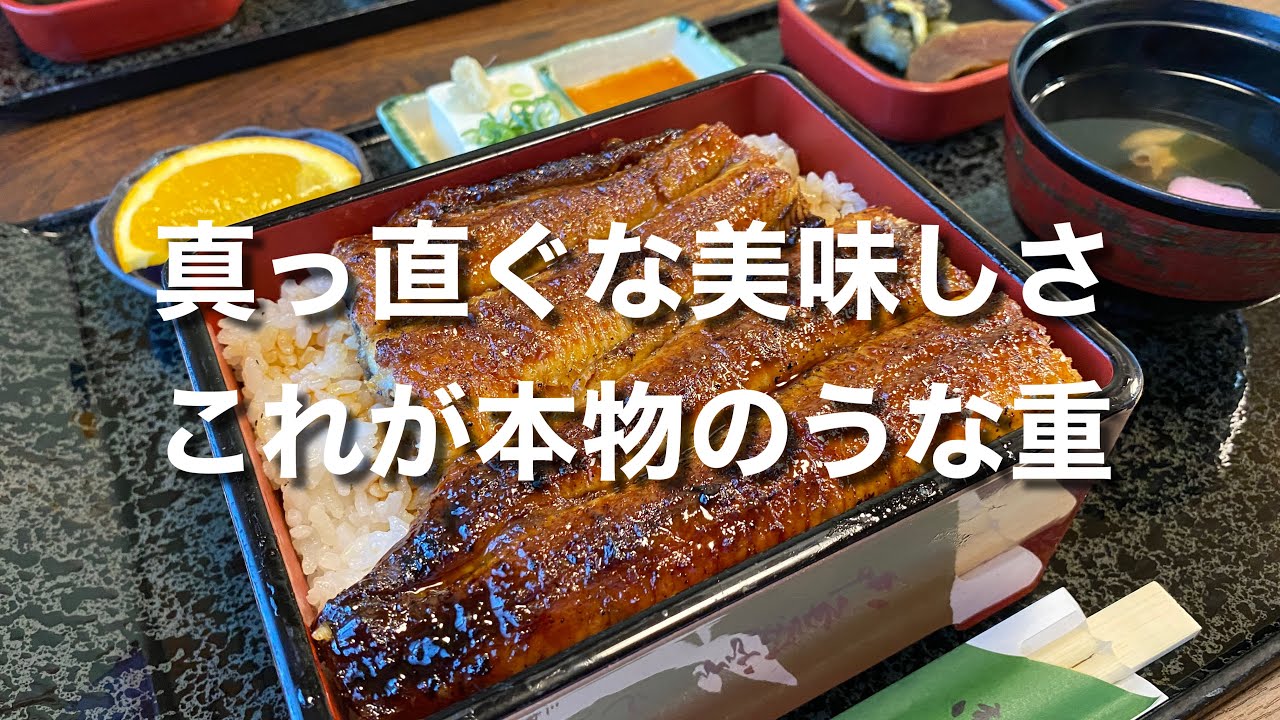 真っ直ぐな美味しさ！】これが本物のうな重♪（うなぎの初音）【グルメ