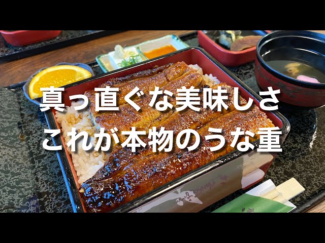 真っ直ぐな美味しさ！】これが本物のうな重♪（うなぎの初音）【グルメ