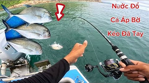 Câu Jigging Mùa Nước Đổ Bằng Cano ! Tưởng Cá Không Ăn ! May Mắn Gặp Bầy Cá Áp Bờ ! Câu Hơn 60kg cá. 