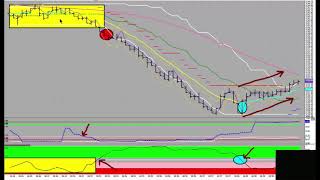 Celebrity Dan O'Brien (Co-Founder) How our charts can help you read the market in real time. Wealth