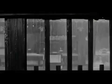 لو بدك بليالي البرد وائل كفوري