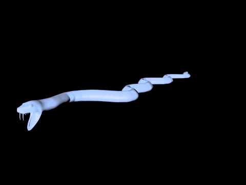 C4D Snake Rig