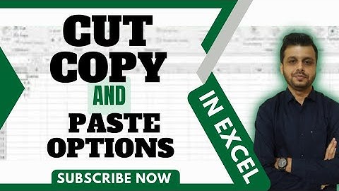 Episode 5 | Excel Basics: Cut, Copy, and Paste Techniques for Efficient Data Management