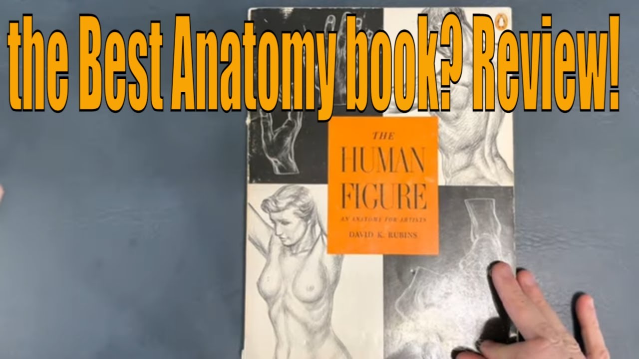Book Review! The Human Figure by David K. Rubins: Anatomy for the artist.