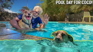 COCO's First Time at Swimming Pool | Joyful Vlog!