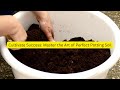The Ultimate Guide to Creating Perfect Potting Soil for Healthy Plant Growth