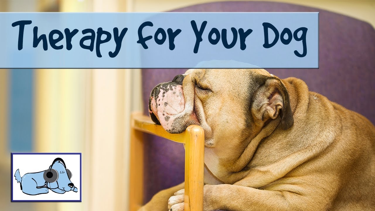 dog therapy music