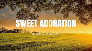 SWEET ADORATION // INSTRUMENTAL SOAKING WORSHIP // SOAKING WORSHIP MUSIC