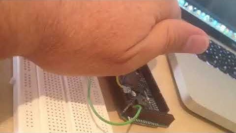 Crickets & Birds (Arduino + Processing)