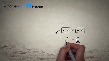 Wingmen NetApp AltaVault