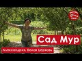 Сад Мур. Александрия. Белая Церковь.