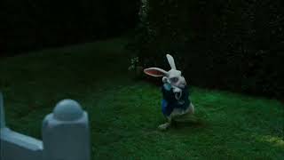 Rabbit pointing at clock (full video) Content