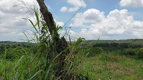 NVT1038 Bán lô đất xã Suối Rao, huyện Châu Đức, Tỉnh Bà Rịa- Vũng Tàu- 380 triệu/sào