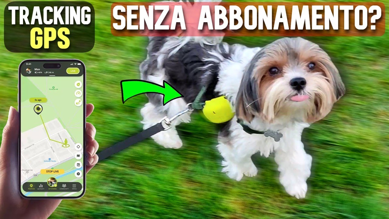 GPS per CANI Ecco PERCHÉ MEGLIO con ABBONAMENTO! YouTube