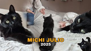 MICHI JULIO 2025. KratosRama no se cansa de ser el michi más dramático 