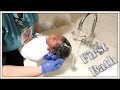 Baby Girl First Bath!! Labor and Delivery Vlog