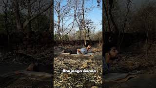 Bhujangasana - The cobra pose #yogapostures #health #backbend #peace #asana #spinalhealth