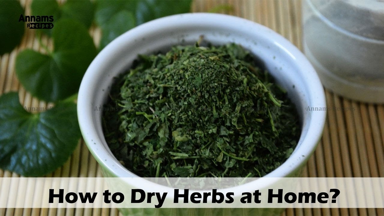 How to Dry Herbs | Dry Herbs Tamil | Dry Herbs | Mooligai Plants in