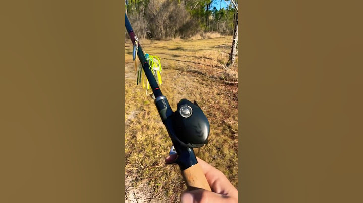 Daiwa /Tackle Warehouse DXB Reaction Rod Paired With Tatula 150