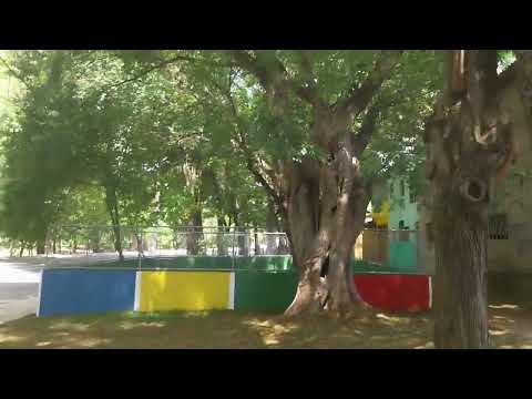 PRAÇA LUIZA DE JESUS, NA PENHA, É REVITALIZADA.