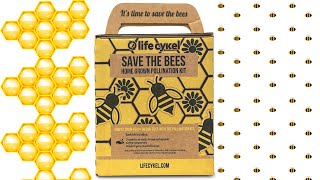 Bee Pollination Grow Kit