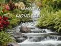 Louis Armstrong - What a Wonderful World - Vidéo avec les paroles.mp4