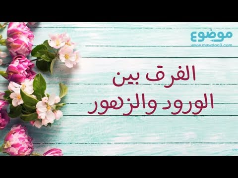 فيديو: ما هو شريط الزهور