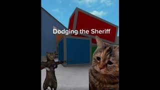 Play mm2 as murder & being meme cats! #shorts #funny #meme #cats #vrialshort #short