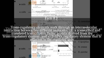 Trans-regulatory element Top # 5 Facts