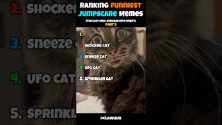 Top 5 Funniest Cat Jumpscares EVER! 🙀