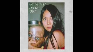 SASAMI - Not The Time chords