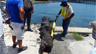 303-Year-Old Cannon Recovered From 1715 Spanish Fleet