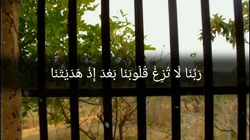 رَبَّنَا لَا تُزِغْ قُلُوبَنَا بَعْدَ إِذْ هَدَيْتَنَا - من سورة ال عمران - القارئ عبدالرحمن مسعد