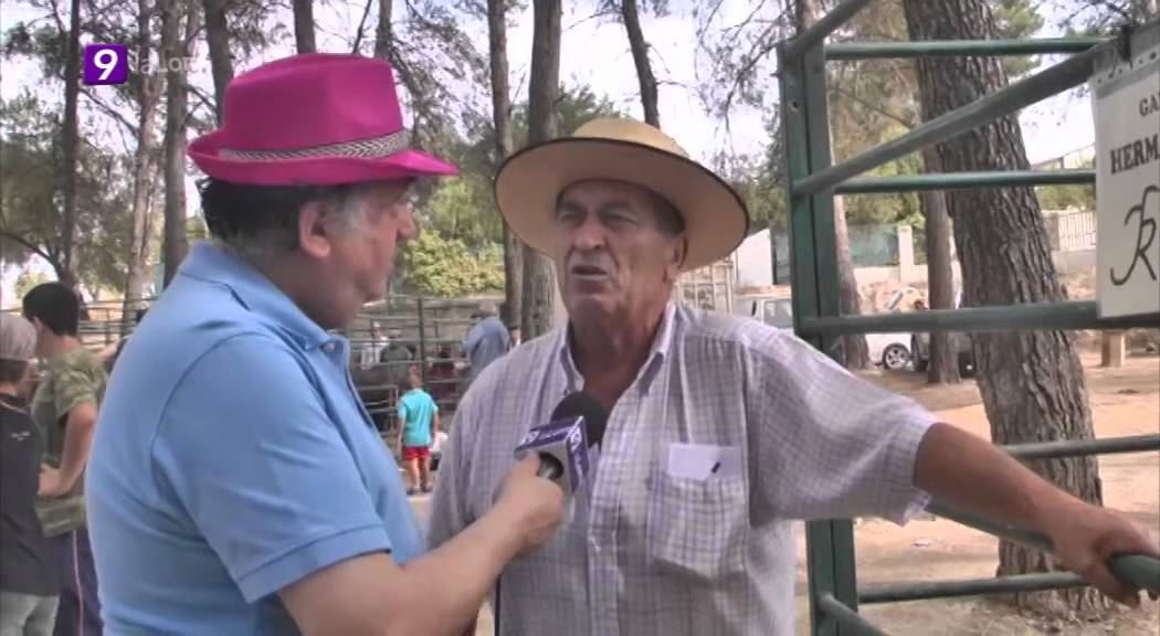 Feria de Ganado de Torreperogil 2012