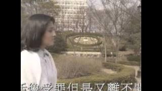 譚詠麟  愛的替身