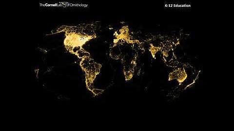 Building Data Literacy - November 2020