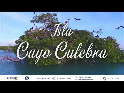 video Cayo Culebra ESPAÑOL