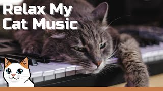 Relax My Cat Music