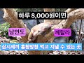 동남아는 가라! 가성비, 가심비 다 잡은 곳, 남인도 께랄라