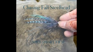 Chasing Fall Steelhead | spey short film 2023